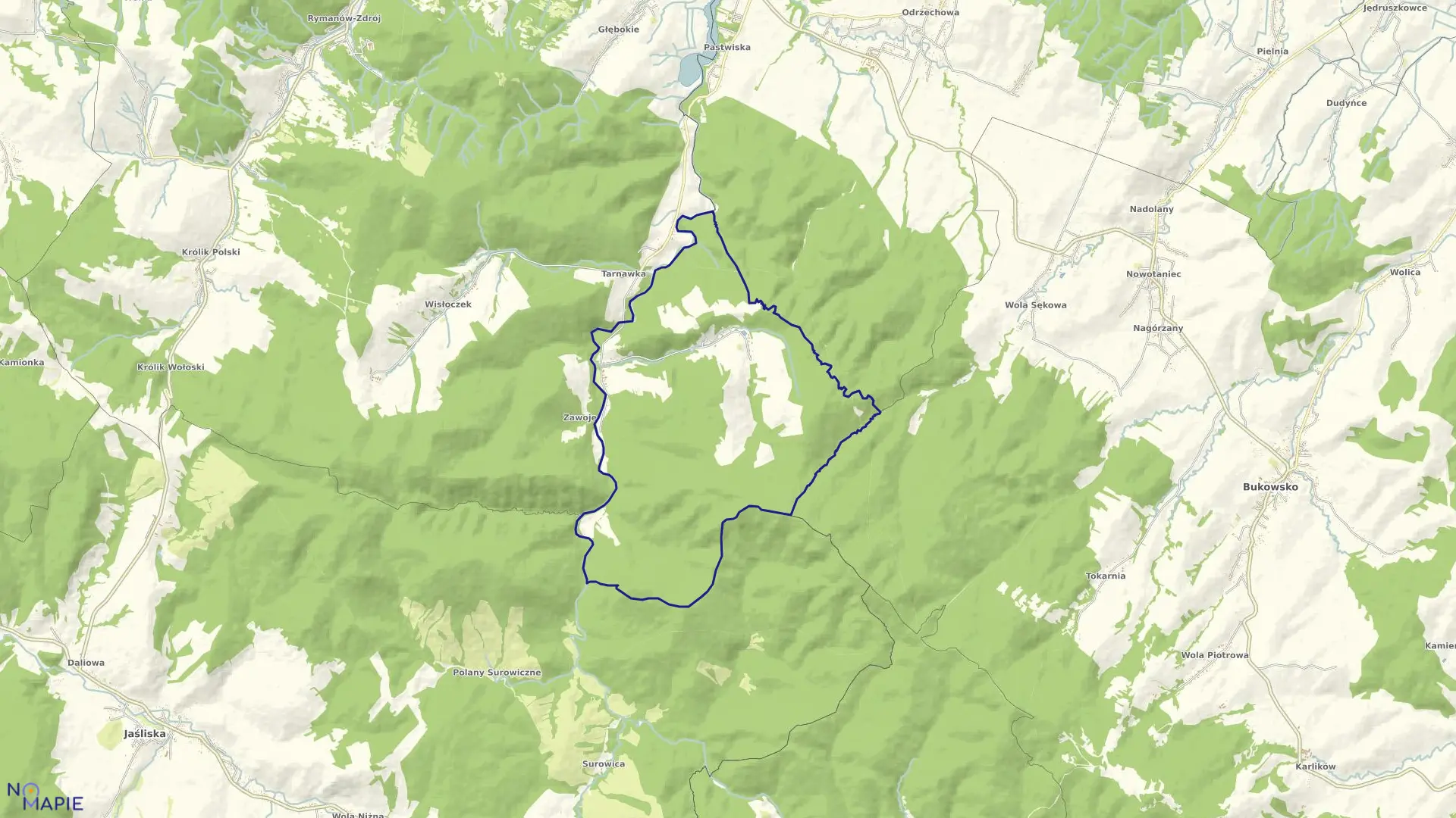 Mapa obrębu Puławy w gminie Rymanów